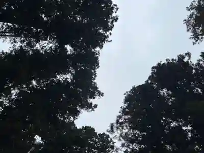 大宮温泉神社(栃木県)