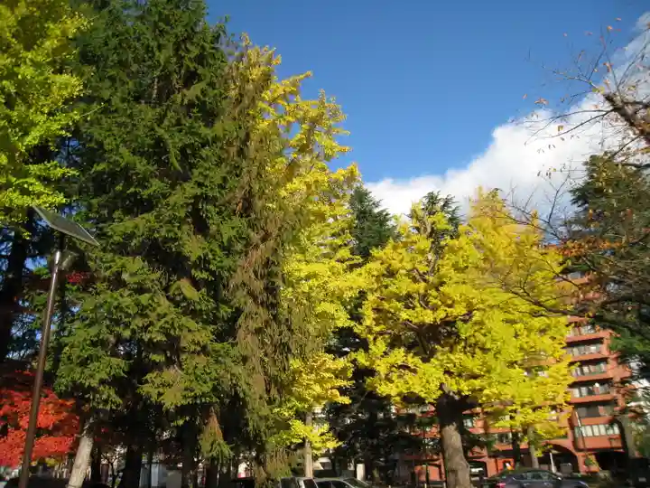 櫻岡大神宮の自然