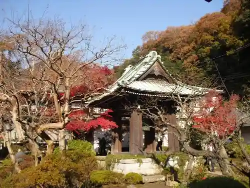 海蔵寺の庭園