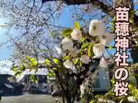 苗穂神社(北海道)