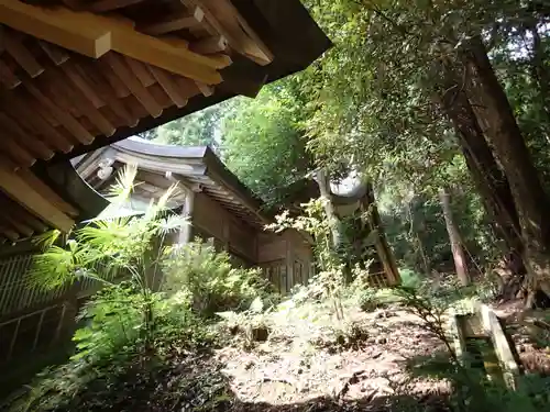 度津神社の本殿