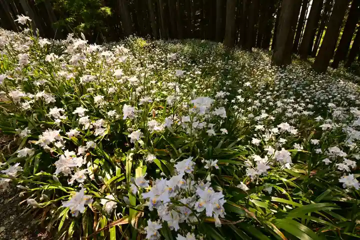 高蔵寺(福島県)