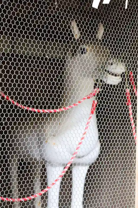 大洗磯前神社(茨城県)