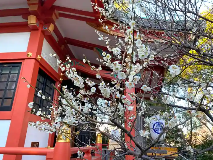 芝東照宮の自然