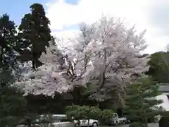 御寺 泉涌寺の庭園