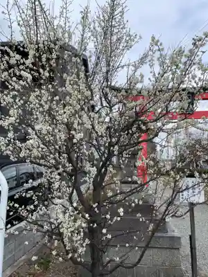 五社神社(京都府)