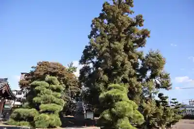 野中寺(大阪府)