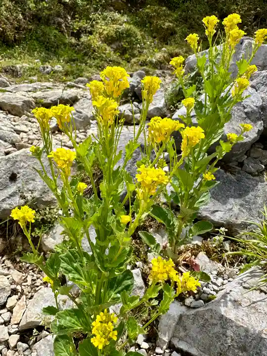 伊吹山(霊峰)(滋賀県)