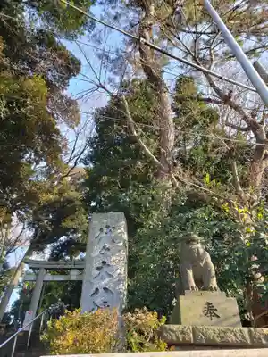 代々木八幡宮の狛犬