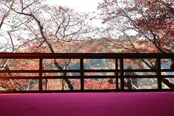 柳谷観音 楊谷寺(京都府)