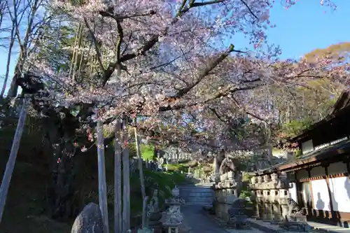 紫雲寺の景色