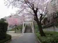 簸川神社の鳥居