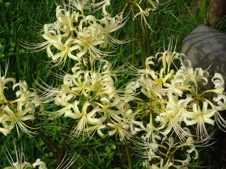 横浜 西方寺の自然