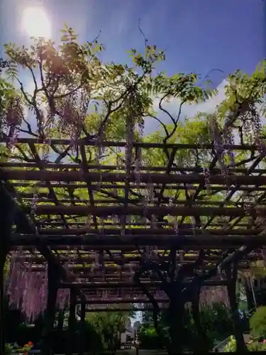 愛染院(東京都)