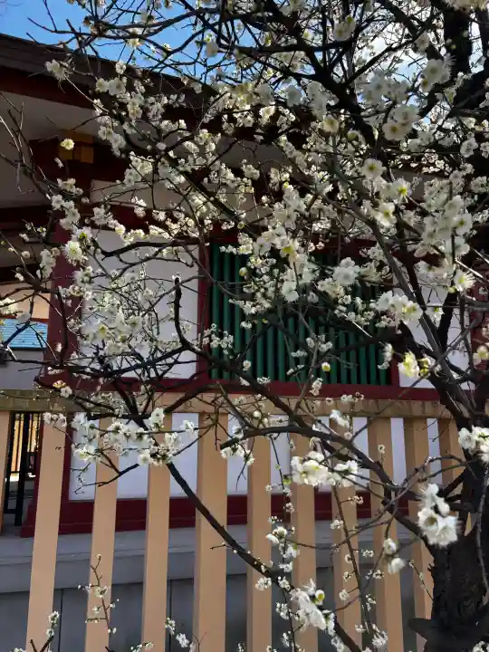 北野神社の{uncategorized: "未分類", other: "その他", undefined: "問題あり", building: "その他建物", grave: "お墓", sacred_gate: "鳥居", guardian: "狛犬", statue: "像", buddha: "仏像", history: "歴史", nature: "自然", garden: "庭園", animal: "動物", pagoda: "塔", temizu: "手水舎", mountain_gate: "山門・神門", sanctuary: "本殿・本堂", subordinate: "末社・摂社", art: "芸術", scenery: "景色", jizo: "地蔵", ema: "絵馬", goshuin: "御朱印", omikuji: "おみくじ", items: "授与品その他", amulet: "お守り", goshuincho: "御朱印帳", eats: "食事", festival: "お祭り", votive_dance: "神楽", shichigosan: "七五三参", wedding: "結婚式", experience: "体験その他", initially: "初詣", around: "周辺", anti_infection: "感染症対策"}