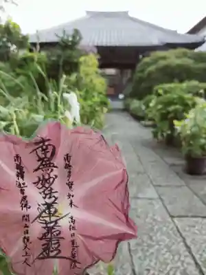 大輪の朝顔