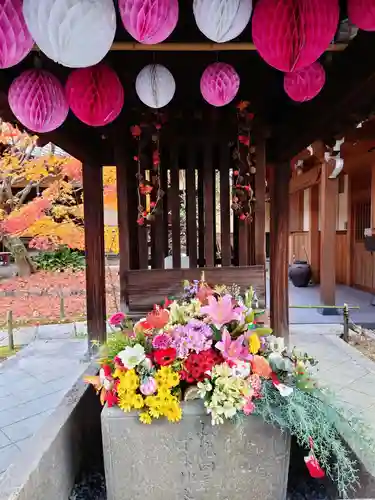 勝林寺(京都府)