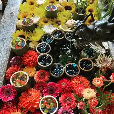 札幌諏訪神社の手水舎