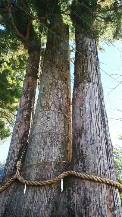 奥氷川神社のその他建物