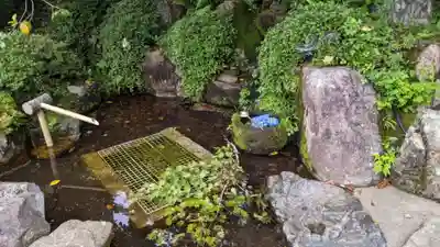 桂昌寺(岐阜県)