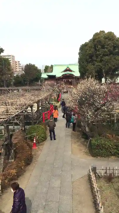 亀戸天神社の庭園