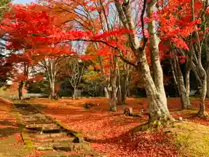 土津神社|こどもと出世の神さまの景色(2020年11月09日(月) 09時57分40秒投稿)