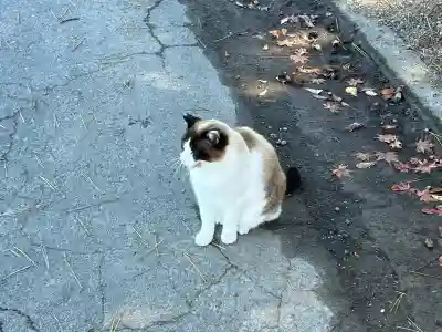 前山寺(長野県)