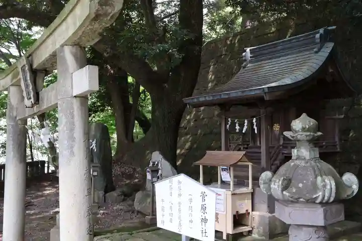 宇都宮二荒山神社(栃木県)