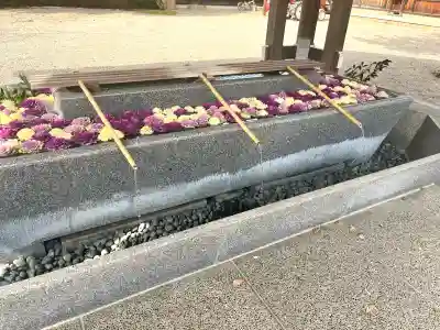 射水神社の{uncategorized: "未分類", other: "その他", undefined: "問題あり", building: "その他建物", grave: "お墓", sacred_gate: "鳥居", guardian: "狛犬", statue: "像", buddha: "仏像", history: "歴史", nature: "自然", garden: "庭園", animal: "動物", pagoda: "塔", temizu: "手水舎", mountain_gate: "山門・神門", sanctuary: "本殿・本堂", subordinate: "末社・摂社", art: "芸術", scenery: "景色", jizo: "地蔵", ema: "絵馬", goshuin: "御朱印", omikuji: "おみくじ", items: "授与品その他", amulet: "お守り", goshuincho: "御朱印帳", eats: "食事", festival: "お祭り", votive_dance: "神楽", shichigosan: "七五三参", wedding: "結婚式", experience: "体験その他", initially: "初詣", around: "周辺", anti_infection: "感染症対策"}