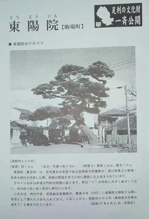 東陽院の授与品その他