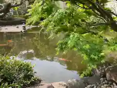 龍澤山祥雲寺(東京都)