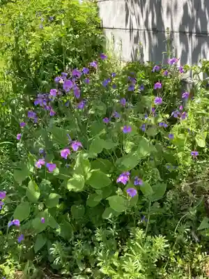 弁財天(下出縄)(神奈川県)