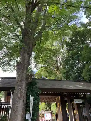 阿佐ヶ谷神明宮のその他建物