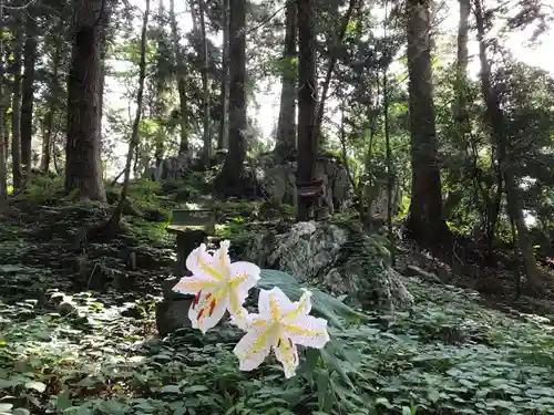 鹿島大神宮の自然