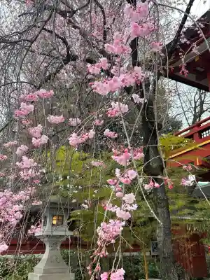 秩父神社の{uncategorized: "未分類", other: "その他", undefined: "問題あり", building: "その他建物", grave: "お墓", sacred_gate: "鳥居", guardian: "狛犬", statue: "像", buddha: "仏像", history: "歴史", nature: "自然", garden: "庭園", animal: "動物", pagoda: "塔", temizu: "手水舎", mountain_gate: "山門・神門", sanctuary: "本殿・本堂", subordinate: "末社・摂社", art: "芸術", scenery: "景色", jizo: "地蔵", ema: "絵馬", goshuin: "御朱印", omikuji: "おみくじ", items: "授与品その他", amulet: "お守り", goshuincho: "御朱印帳", eats: "食事", festival: "お祭り", votive_dance: "神楽", shichigosan: "七五三参", wedding: "結婚式", experience: "体験その他", initially: "初詣", around: "周辺", anti_infection: "感染症対策"}