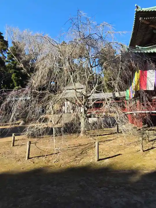 神野寺(千葉県)