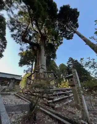 身延山奥之院思親閣(山梨県)
