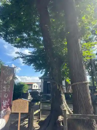 春日神社(福井県)