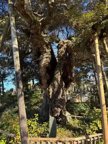 高根寺(千葉県)