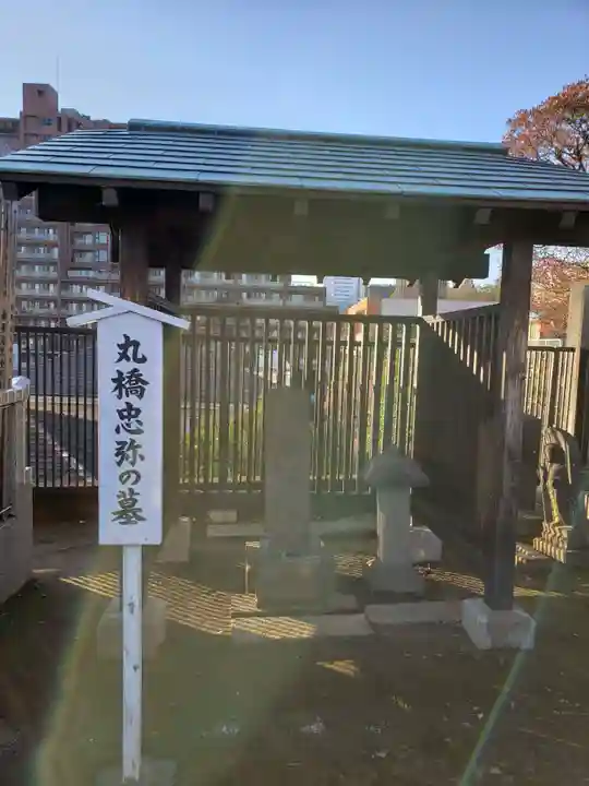 金乗院(目白不動尊)のお墓