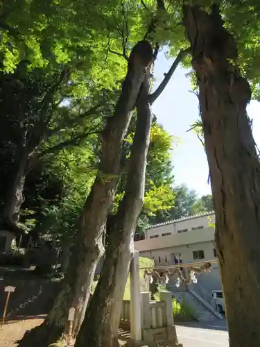 手長神社の自然