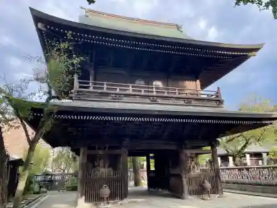 高安寺(東京都)