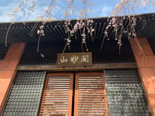 善性寺の本殿・本堂