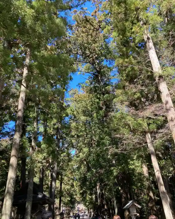 小國神社(静岡県)