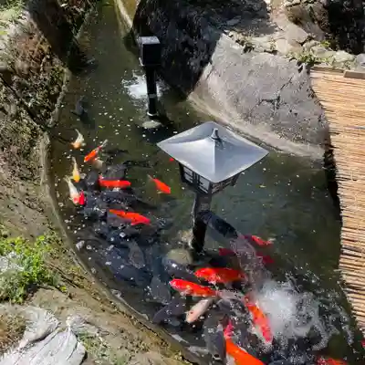 神野寺(千葉県)