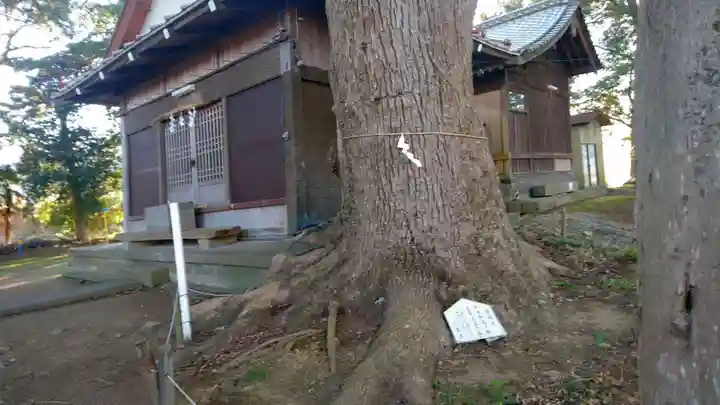 神明宮(御園)の自然