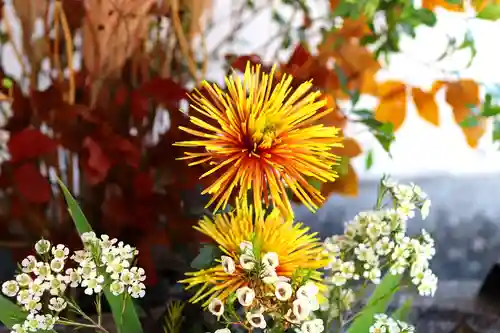 三津厳島神社の自然