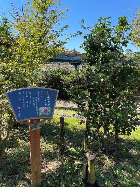 宇治神社の自然