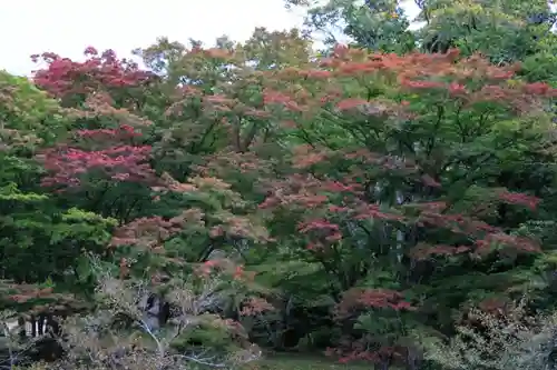 土津神社｜こどもと出世の神さまの自然