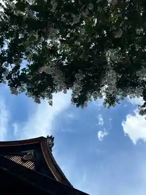 下御霊神社の自然